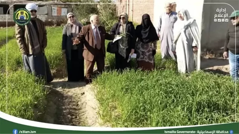 متابعة ميدانية لزراعات القمح بالإسماعيلية..صور