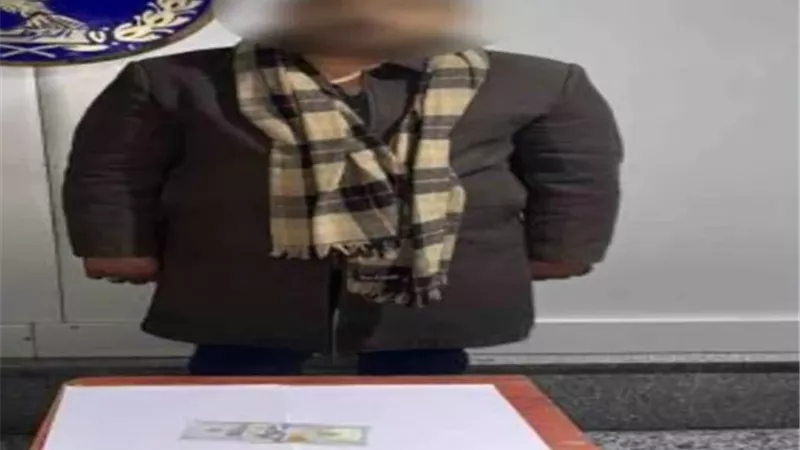 ضبط صاحب شركة نصب على أجنبى بزعم إيجار شقة سكنية بالإسكندرية