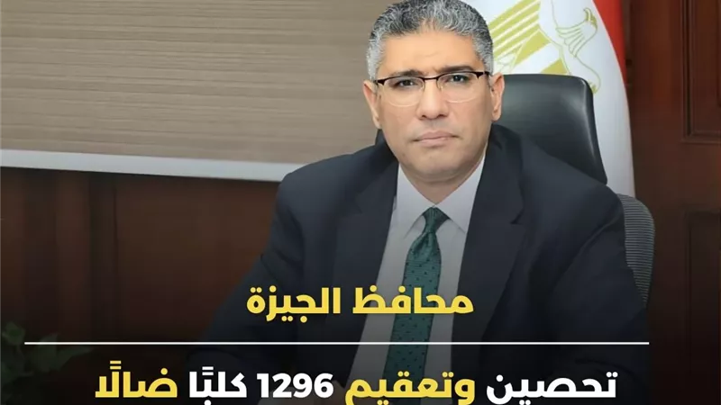تحصين وتعقيم 1296 كلبًا ضالًا في الجيزة خلال شهر