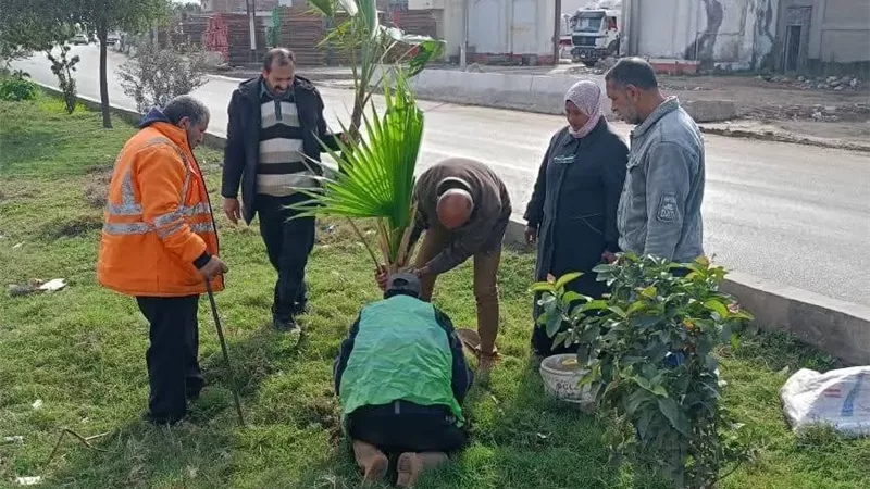 تشجير وتجميل مدن دمياط في أسبوع الإستدامة البيئية