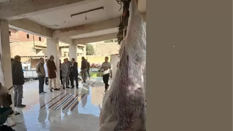 افتتاح مجزر بردين بالزقازيق وتحقيق أعلى معايير السلامة الغذائية