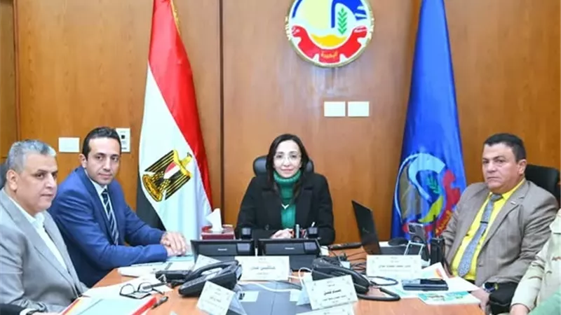 انتظام لجان الإعادة لإنتخابات مجلس النواب بأربع دوائر بالبحيرة