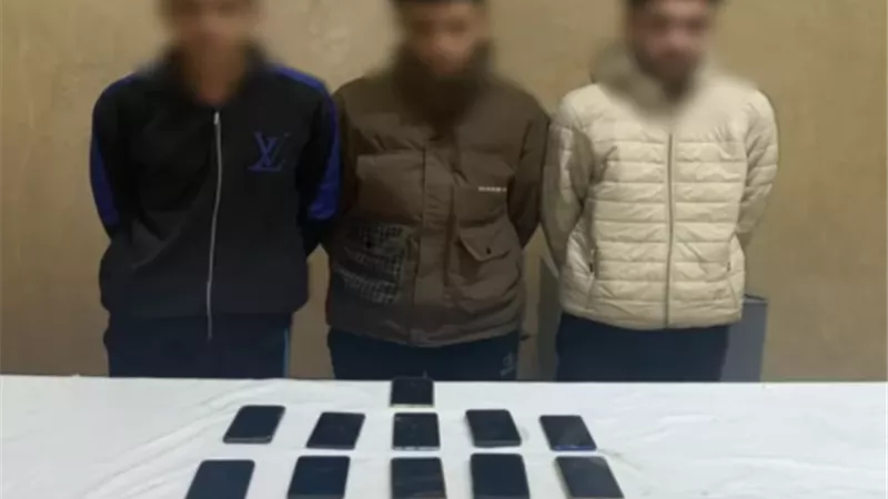 ضبط شخصين تخصصا فى السرقة بأسلوب 