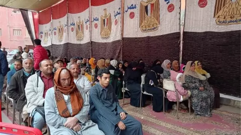 احتدام المعركة الانتخابية بين المستقلين والأحزاب بدوائر أسيوط