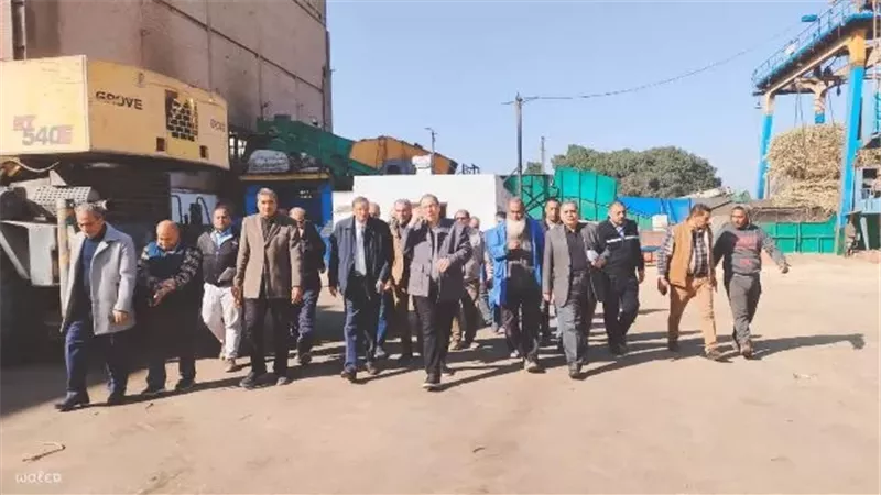 بدء موسم عصير القصب بمصنع سكر أبو قرقاص بمحافظة المنيا