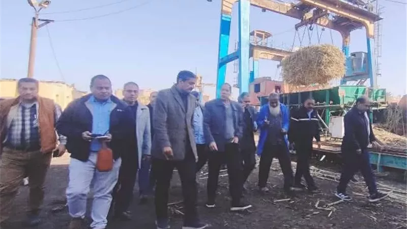 انطلاق موسم توريد قصب السكر من مجمع مصانع أبوقرقاص