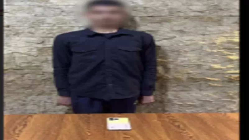ضبط عامل خطف هاتف محمول طالبة أثناء سيره بأحد الشوارع بالشرقية