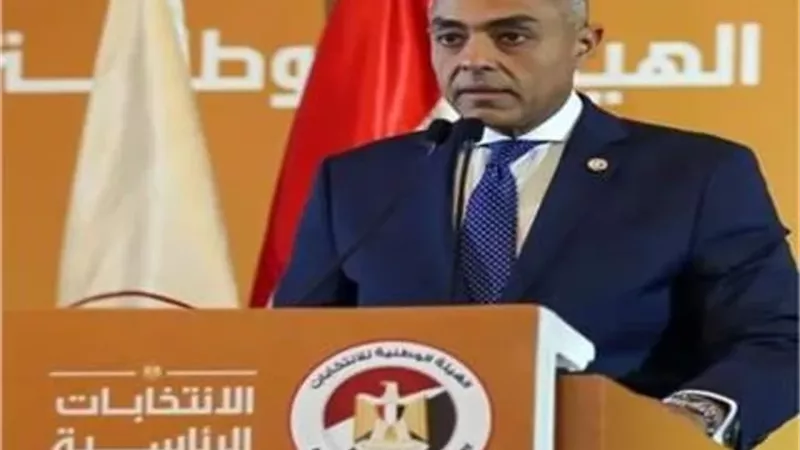 الهيئة الوطنية: الانتخابات الحالية.. أصعب اختبار