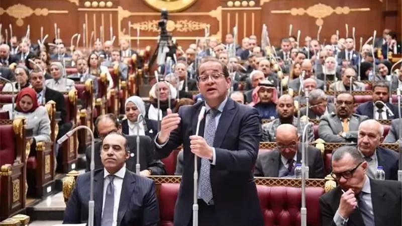 كجوك: لا أعباء إضافية على المواطنين في تعديل الضريبة العقارية