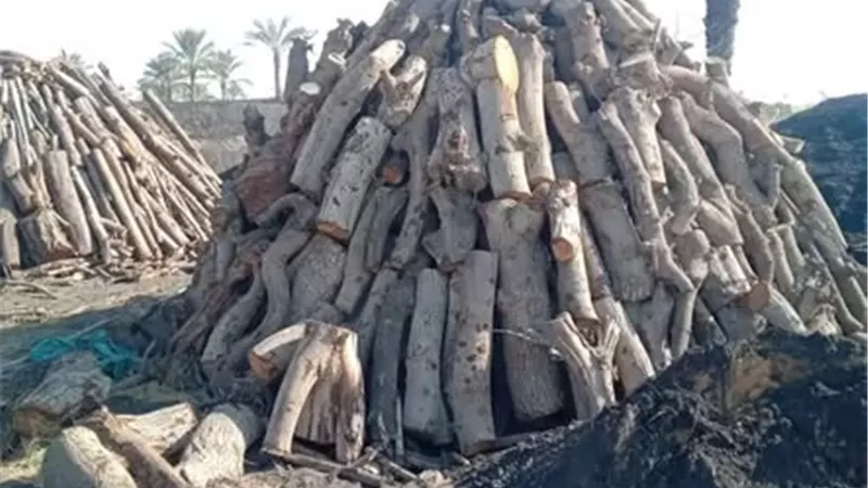 تحرير محاضر مخالفة للبيئة بالإسماعيلية..صور