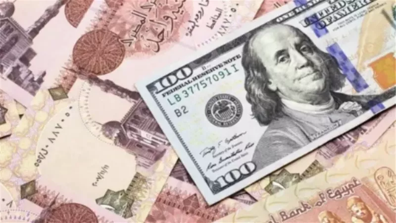 سعر الدولار اليوم في البنوك المصرية الأربعاء 7 يناير
