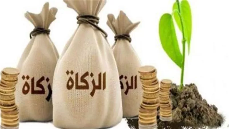 وجوب الزكاة فى المال فى حال الخسارة..د.علي جمعة يوضح