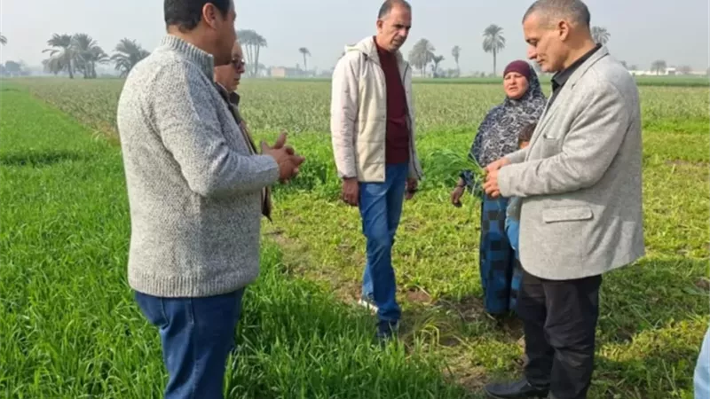 البحوث الزراعية