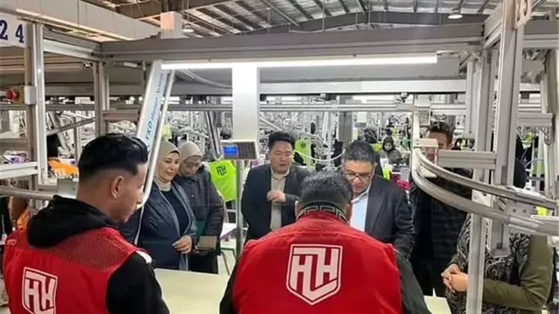 تأهيل شباب الإسماعيلية لسوق العمل