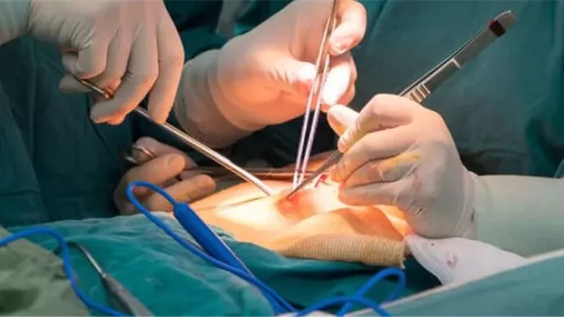 الإفتاء توضح ضوابط تشريح جسد الإنسان بعد الوفاة
