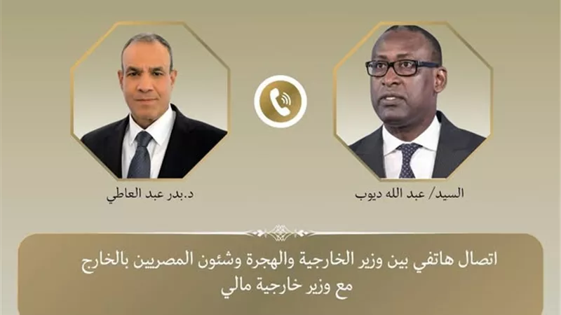 وزير الخارجية يؤكد دعم مصر للقضاء على التنظيمات الإرهابية بوسط وغرب أفريقيا