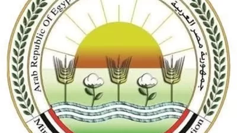 الزراعة تطلق حملة لتحصين الثروة الحيوانية ضد الحمى القلاعية