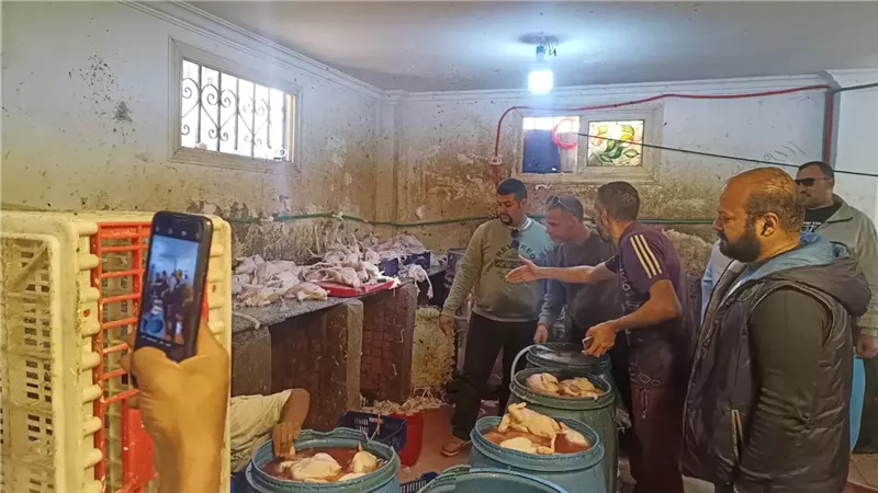 محافظة الجيزة تضبط 75 طن مصنعات لحوم ودواجن فاسدة