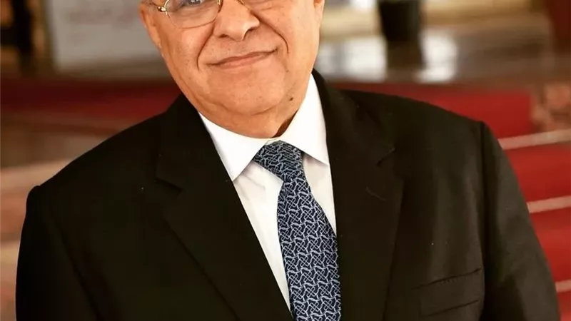 المجلس الأعلى للاقتصاد العربي الأفريقي يُعين اللواء الدكتور صفوت النحاس بمنصب الأمين العام المساعد وزيرًا مفوضًا