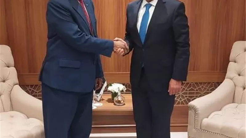 وزير الخارجية يؤكد حرص مصر على دعم السودان في هذه المرحلة الدقيقة