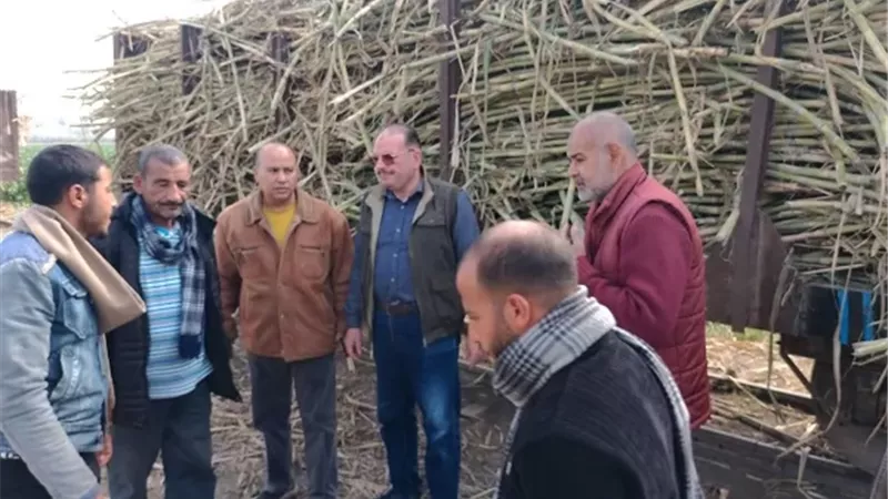 مدير زراعة المنيا يتفقد الزراعات الحديثة بأبو قرقاص وسمالوط ومطاي