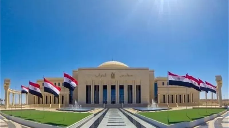 مصادر لإكسترا نيوز: تعيين سامح شكري وأشرف الشيحي ونائلة جبر وسمير صبري بمجلس النواب