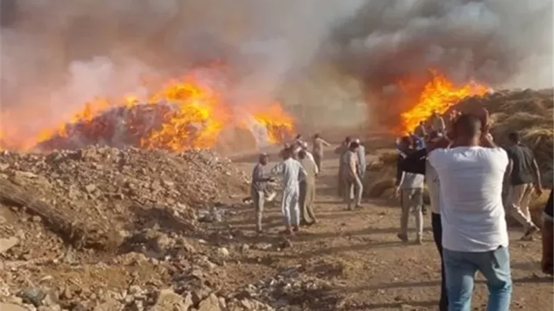 اندلاع حريق فى شونة للكتان بقرية شبرا ملس بزفى