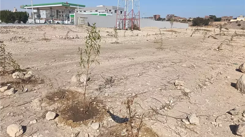 الموجة 28..إزالة 37 تعديا بالأقصر