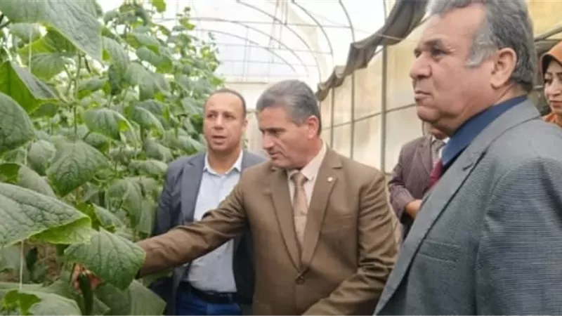 نائب رئيس جامعة بنها يتفقد الوحدات الإنتاجية بكلية الزراعة بمشتهر