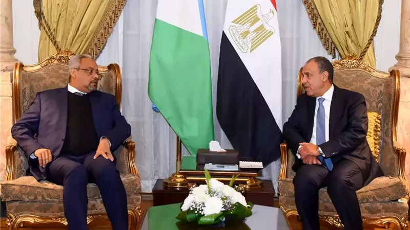 وزير الخارجية يبحث مع نظيره الجيبوتي تطورات الوضع بالقرن الافريقي