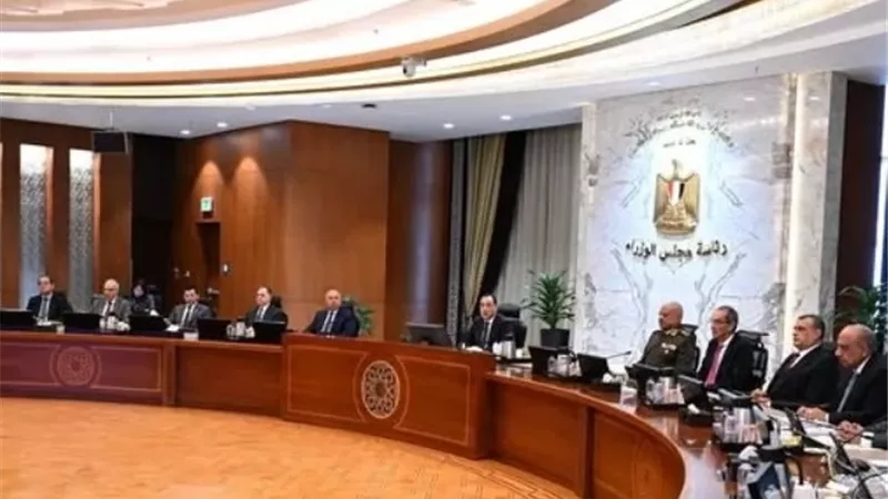 الحكومة تعدل اسم المجلس الوطني للذكاء الاصطناعي ليشمل الحوسبة الكمية