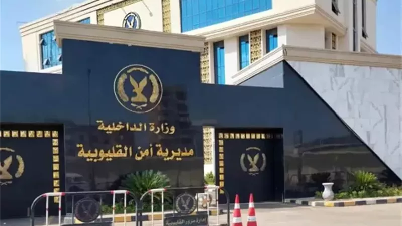 حملات أمنية مكثفة بالقليوبية تضبط 6 عناصر إجرامية بشبرا الخيمة