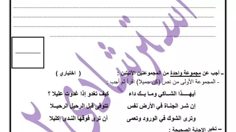 نموذج استرشادي بامتحان اللغة العربية بمديرية تعليم القاهرة