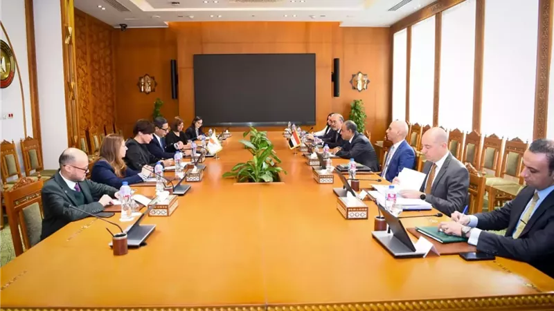 وزير الخارجية ونظيره القبرصي يبحثان استمرار التنسيق المشترك وربط حقول الغاز القبرصية بمصر