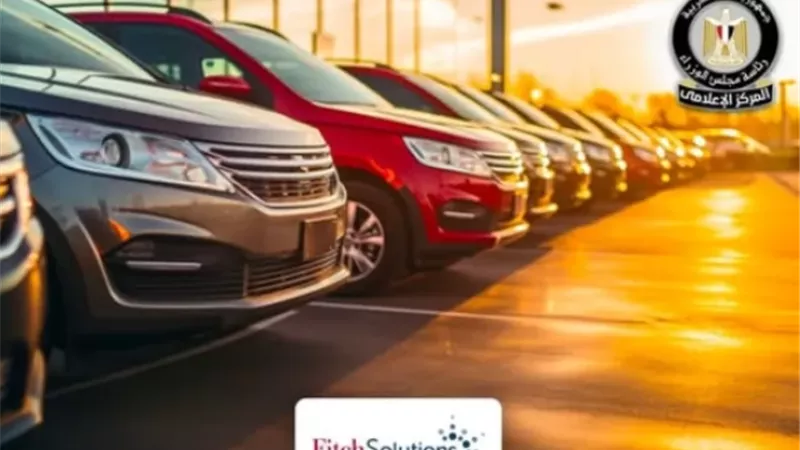 فيتش تشيد بنجاح مصر في جذب أكبر عدد من الاستثمارات بقطاع السيارات