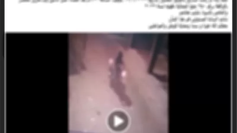 الكاميرا كشفته.. ضبط عاطل سرق دراجة نارية بالدقهلية