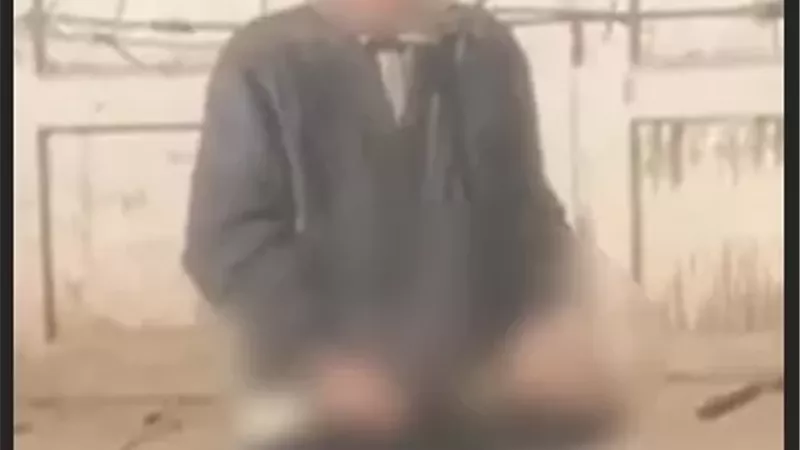 مريض نفسى.. ملابسات قيام مسن بأفعال خادشة أمام مدرسة بالدقهلية