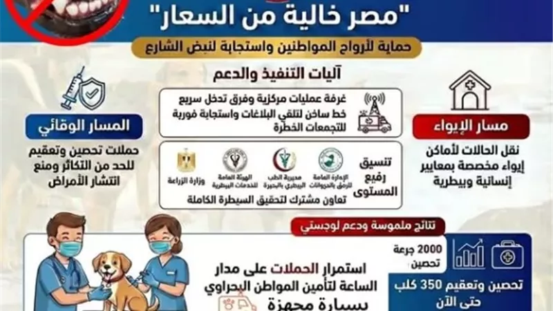 محافظة البحيرة تعلن تفاصيل خطة المواجهة الشاملة للكلاب الضالة