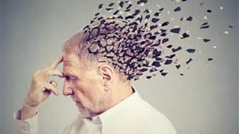 اكتشاف جزيء دهني يضبط تدفق الدم الدماغي ويفتح آفاقاً لعلاج ألزهايمر