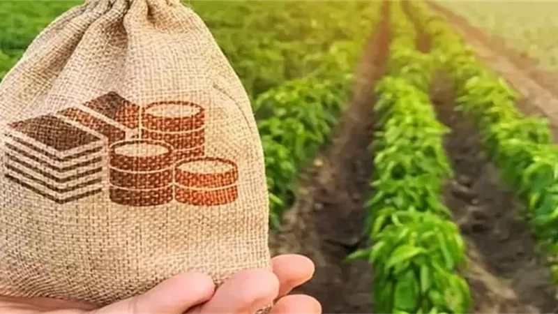 مدى مشروعية خصم تكاليف الإنتاج الزراعي من الزكاة عند إخراجها