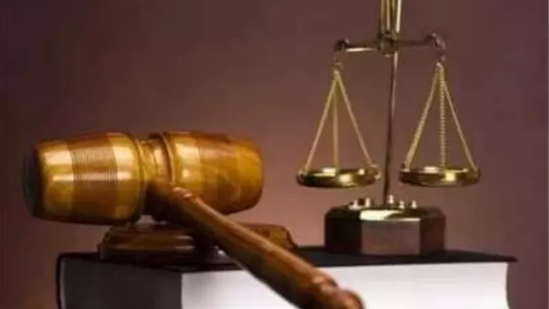 بالمستندات.. 30 مليون دولار تشعل نزاعًا عائليًا خطيرًا.. شقيق ينكر صلة الدم لحجب الميراث ومحكمة قصر النيل تفصل