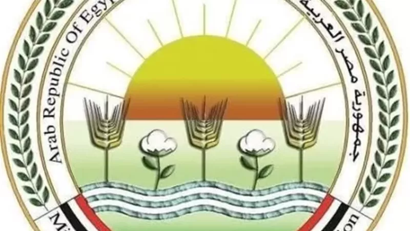 الزراعة: تحصين 1.2 مليون رأس ماشية ضد 