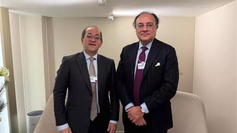 كجوك: تعزيز التعاون الاقتصادي بين مصر وباكستان بدافوس