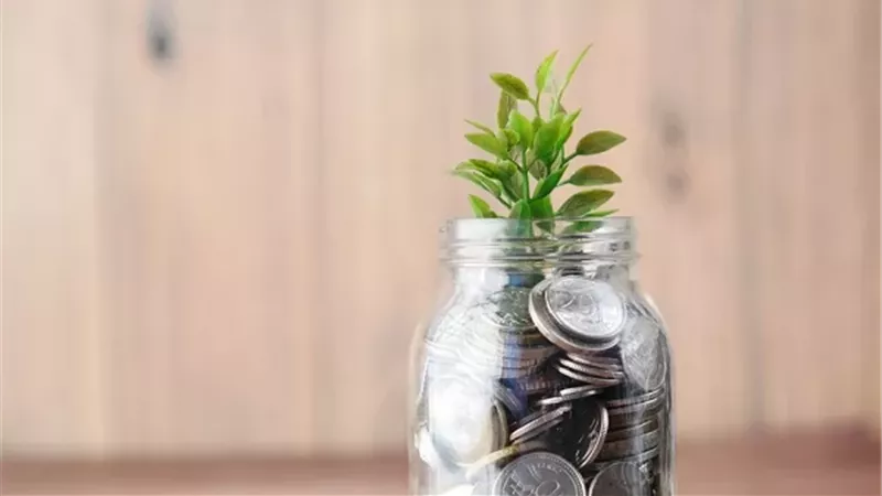 نيابة الرجل في زكاة زوجته حكمه وشروط إعطاء الأقارب