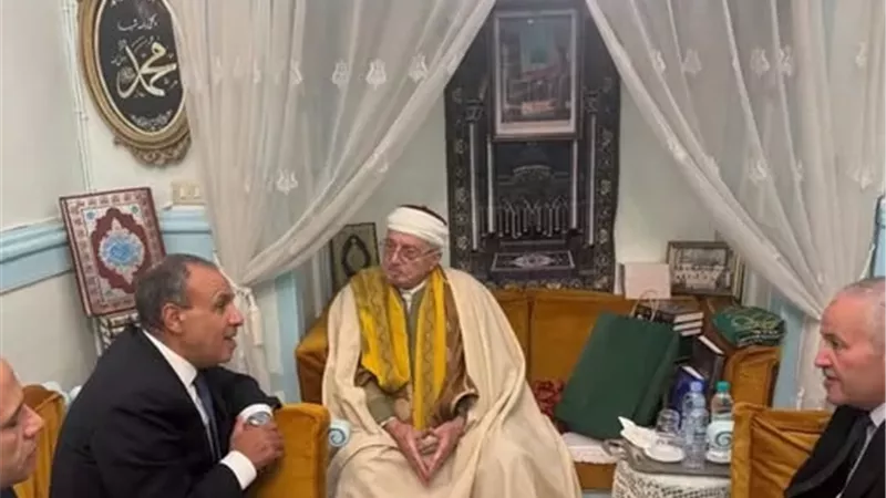عبدالعاطي يؤكد عمق الروابط الأخوية والتاريخية التي تجمع بين مصر وتونس