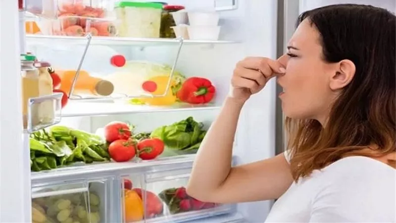روائح الثلاجة الكريهة .. أخطاء شائعة في تخزين الطعام وكيف نتجنبها