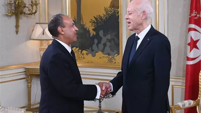 مصر تدعم 