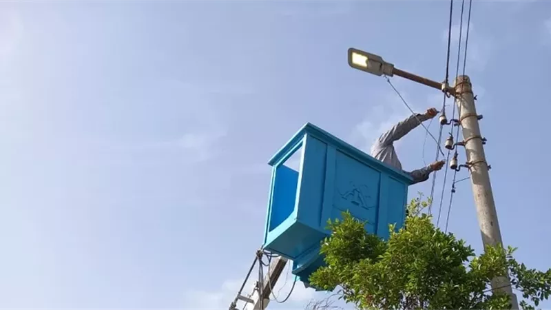 حملات صيانة موسعة لإنارة مداخل القرى في قوص وأبوتشت