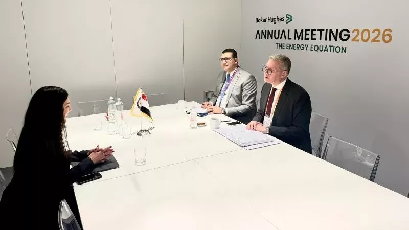 مباحثات مصرية إماراتية لزيادة فرص التعاون في مشروعات البترول والغاز