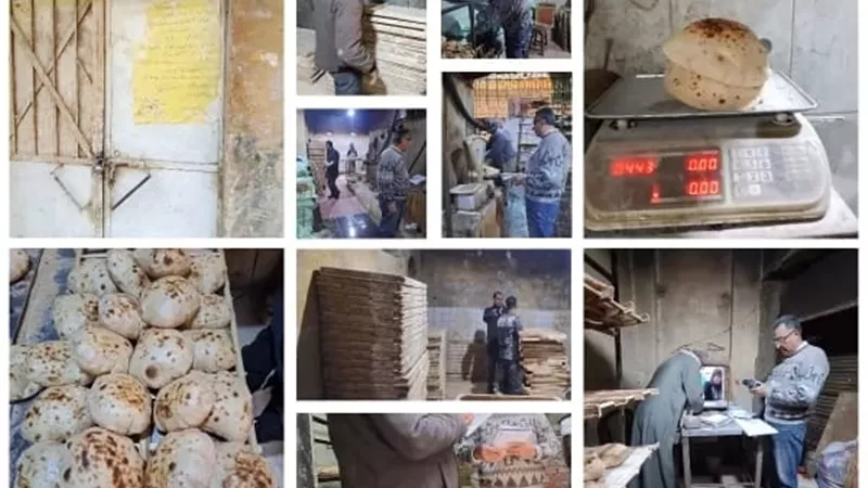 تموين القليوبية تحرر 41 مخالفة خلال حملات على المخابز بقليوب